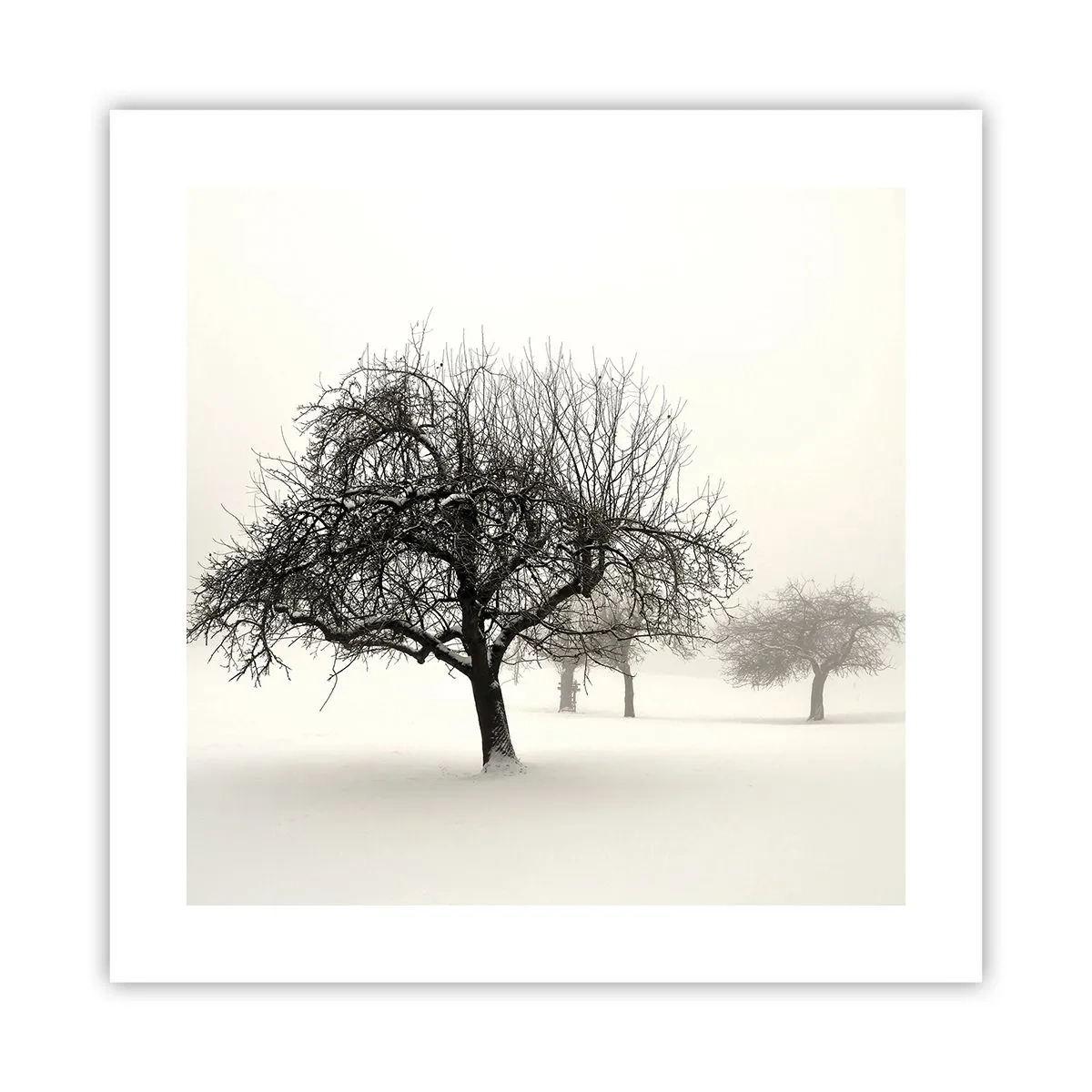 Poster - Winterslaap - 40x40 cm