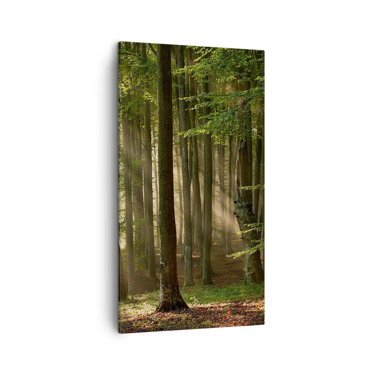 Schilderen op canvas - Stralend op een lentemorgen - 45x80 cm