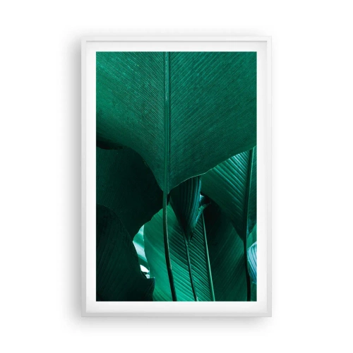 Poster in een witte lijst - Naar het licht gekeerd - 61x91 cm