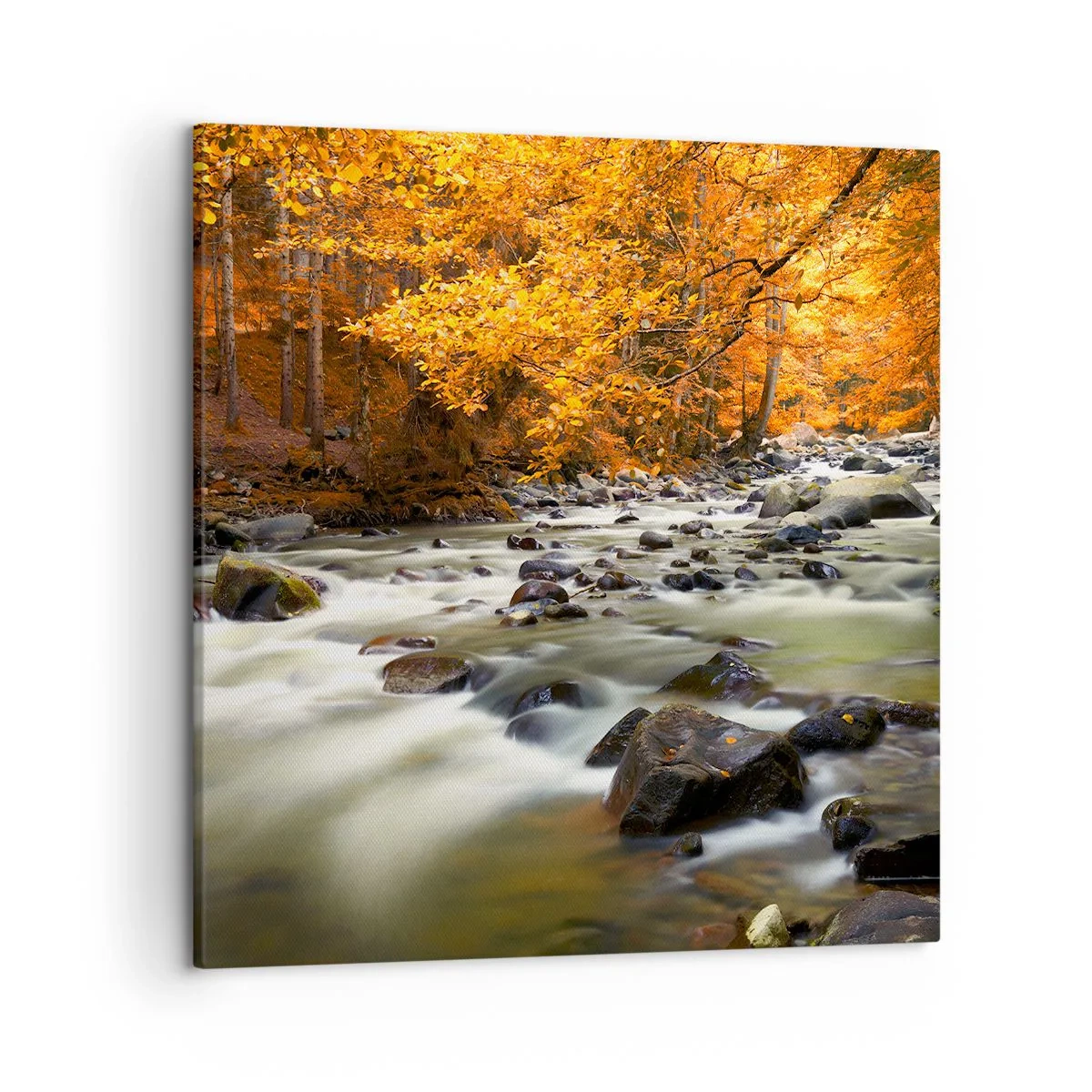 Schilderen op canvas - Een stroom in een gouden bos - 50x50 cm