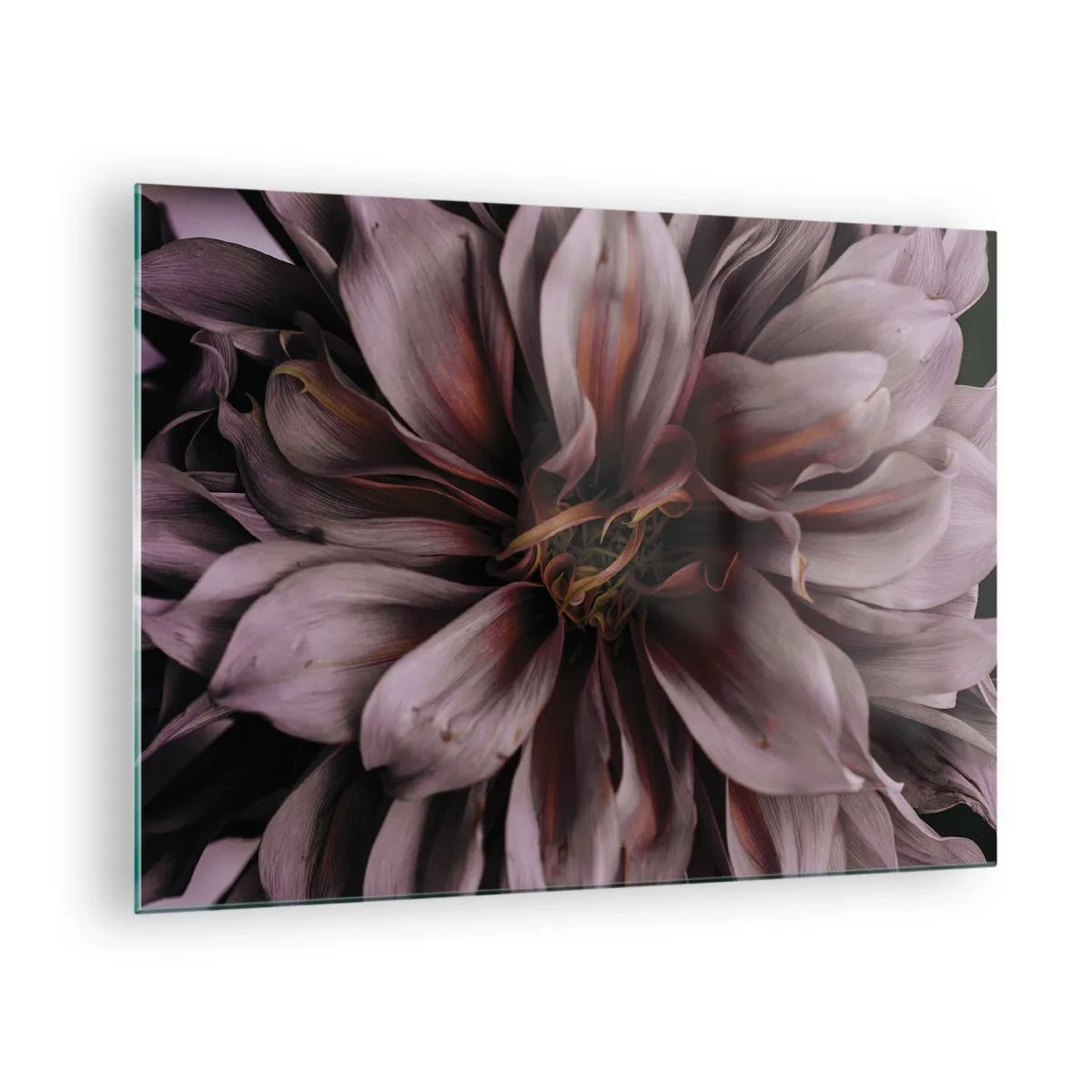 Schilderen op glas - Een close-up van een donkere bloem met paarse en bordeauxrode bloemblaadjes - 70x50cm - Een bloemenhart - Moderne wanddecoratie voor woonkamer en slaapkamer ARTTOR