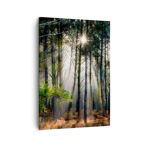 Schilderen op canvas - Heilige bosplek - 50x70 cm