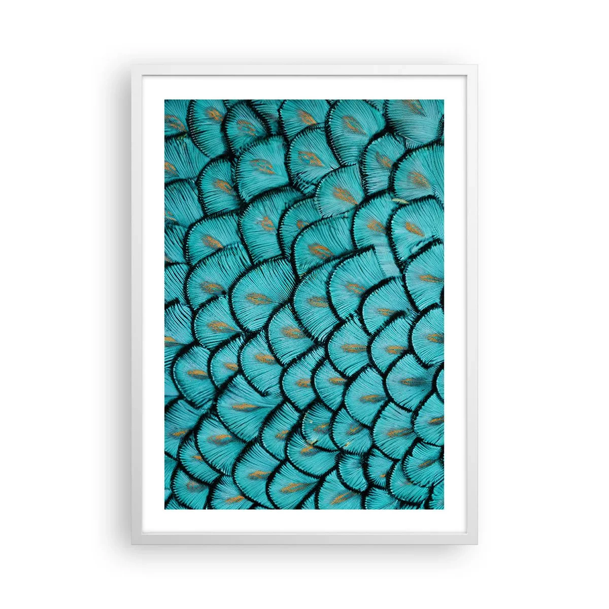 Poster in een witte lijst - Het grote verengala - 50x70 cm