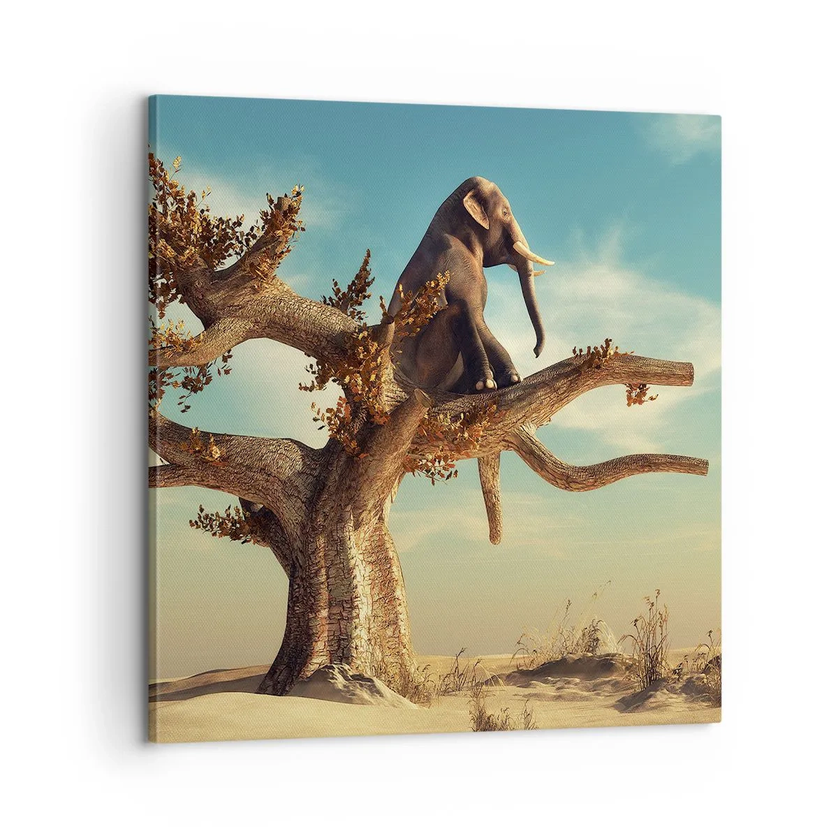 Schilderen op canvas - Een nieuw gezichtspunt - 60x60 cm