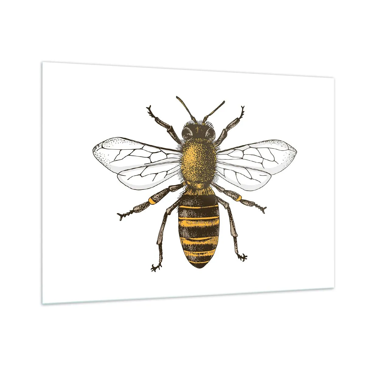 Schilderen op glas - Mooi en goed - 100x70 cm