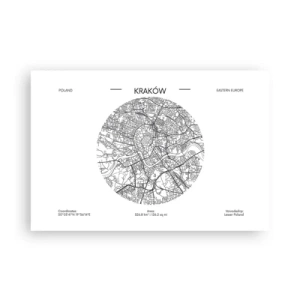 Poster - Anatomie van Krakau - 91x61 cm