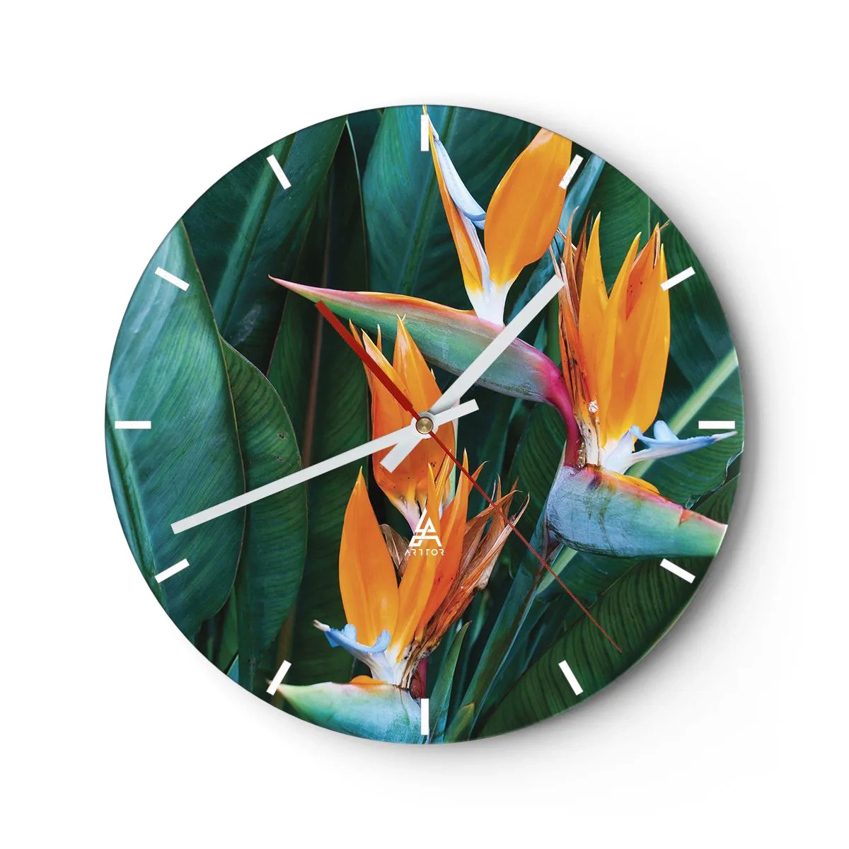 Wandklok - Klok - Exotische strelitzia-bloemen tegen een achtergrond van groene bladeren - 30x30cm - Is het een bloem of is het een vogel? - Moderne wanddecoratie voor woonkamer, keuken en slaapkamer ARTTOR