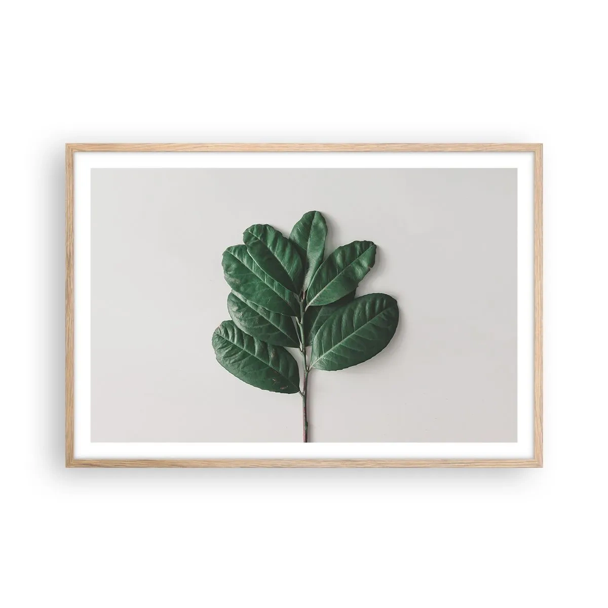 Een poster in een licht eiken lijst - Een tekening van de pure natuur - 91x61 cm