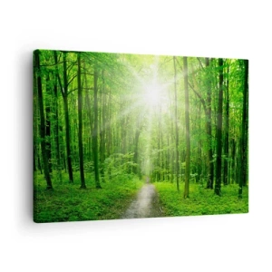 Schilderen op canvas - Pad in het bos met zonnestralen - 70x50cm - De groene kathedraal - Moderne wanddecoratie voor woonkamer en slaapkamer ARTTOR