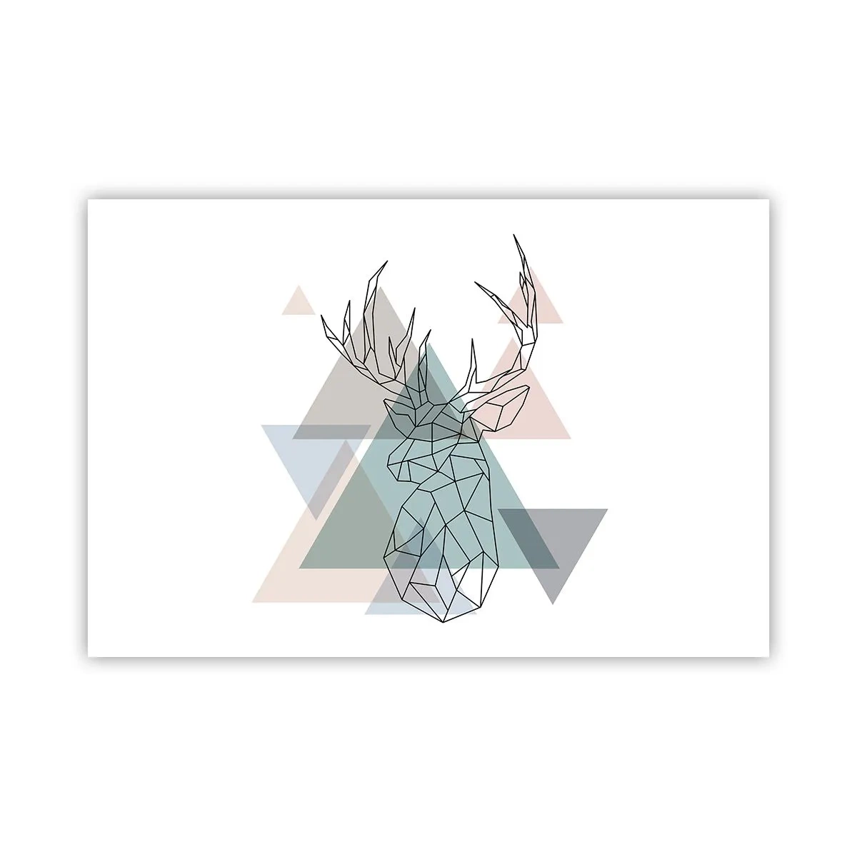 Poster - In een geometrisch bos - 91x61 cm