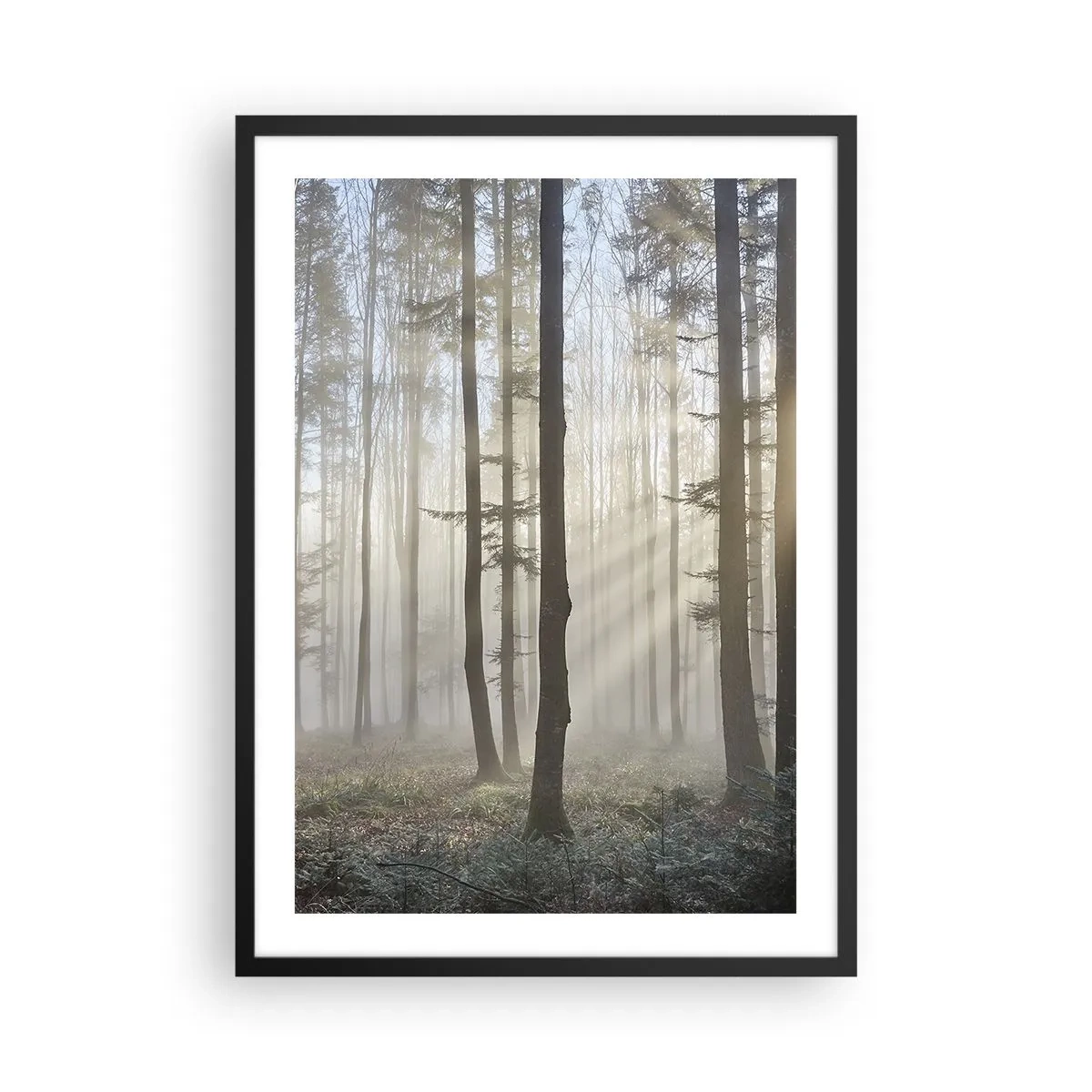 Poster in een zwarte lijst - Een mistige ochtend in het bos met zonnestralen - 50x70cm - De mist werd ook wakker - Moderne wanddecoratie voor woonkamer en slaapkamer ARTTOR