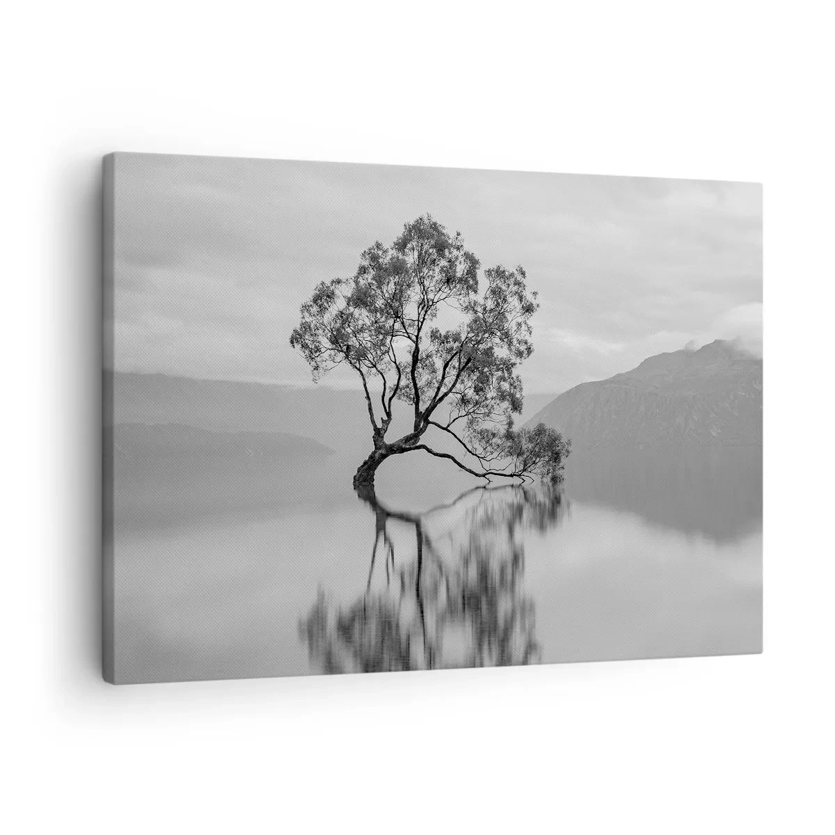 Schilderen op canvas - Een eenzame boom weerspiegeld in het water met bergen op de achtergrond - 70x50cm - Er is zo'n land - Moderne wanddecoratie voor woonkamer en slaapkamer ARTTOR