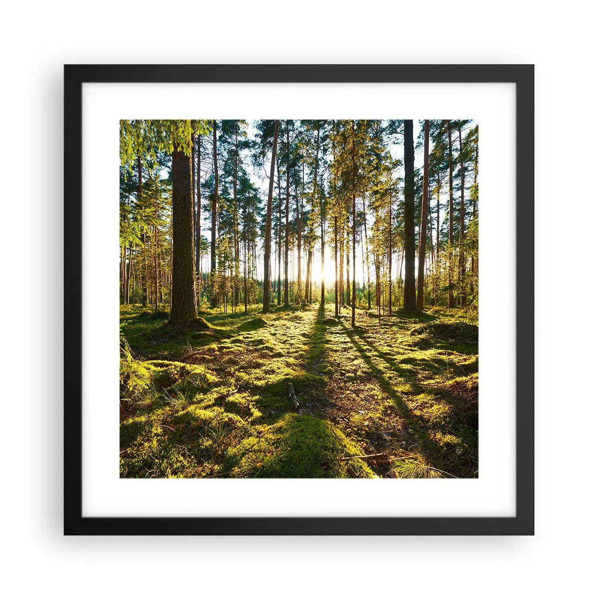 Poster in een zwarte lijst - … Achter de zeven bossen - 40x40 cm