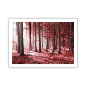 Poster - Rood is net zo mooi - 70x50 cm