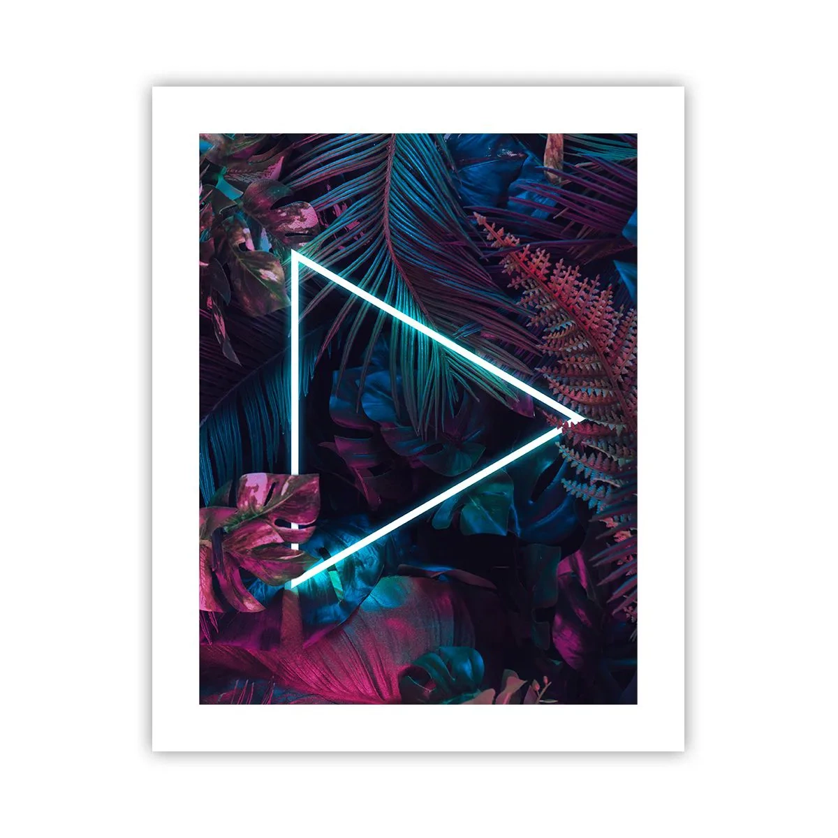 Poster - Disco-achtige tuin - 40x50 cm
