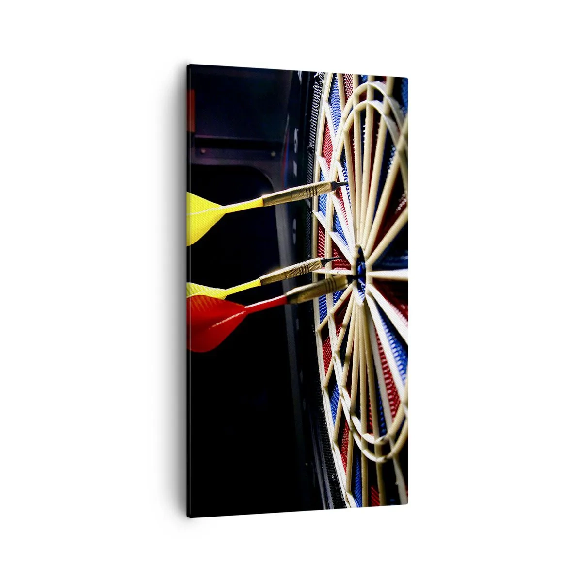 Schilderen op canvas - De spikerop de kop - 55x100 cm