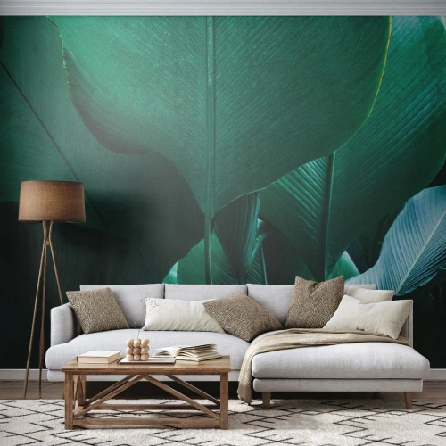 Fotobehang Premium Sand - Naar het licht gekeerd - Bananenblad, Bananenboom, Plant - 300x210 cm