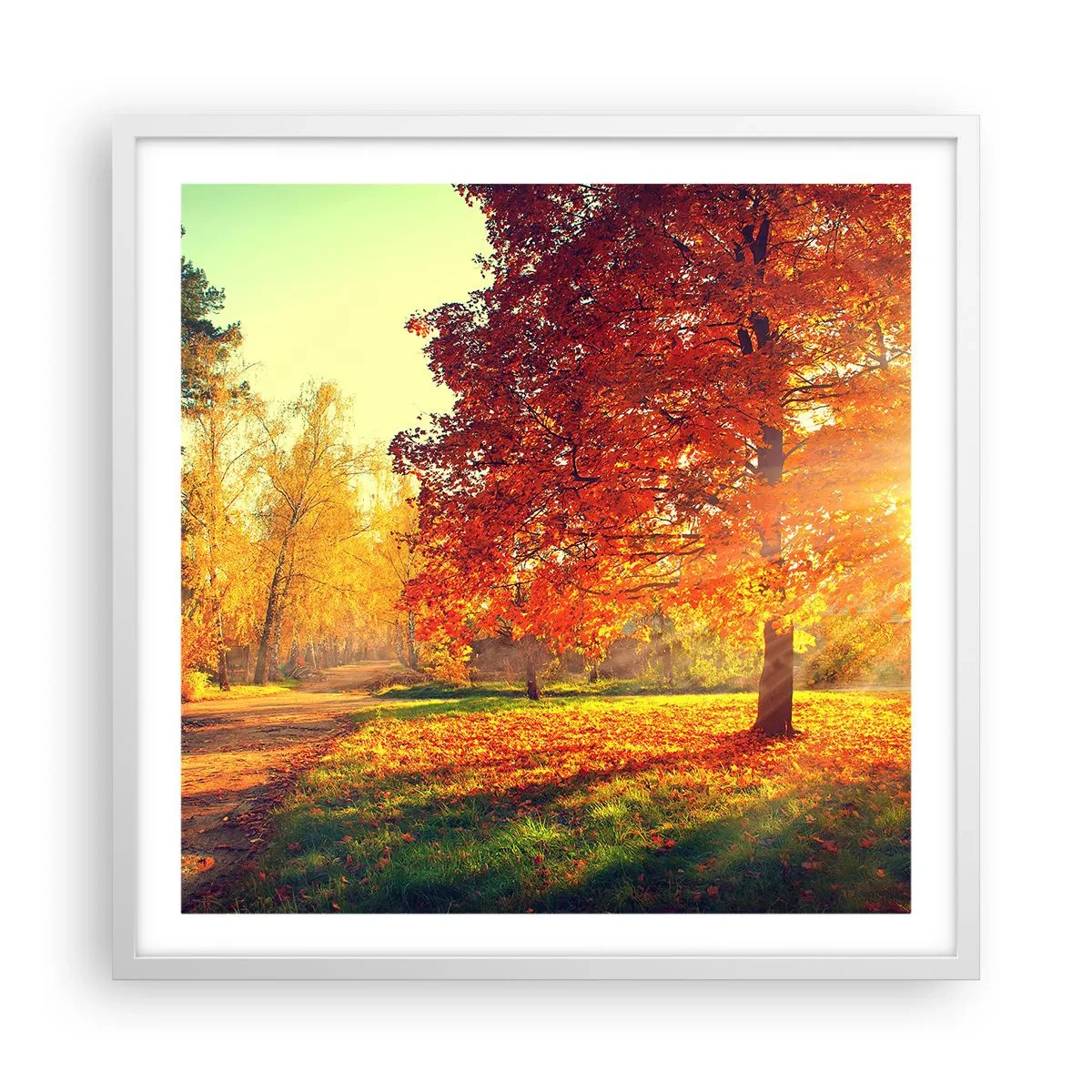 Poster in een witte lijst - Rood is mooi - 60x60 cm