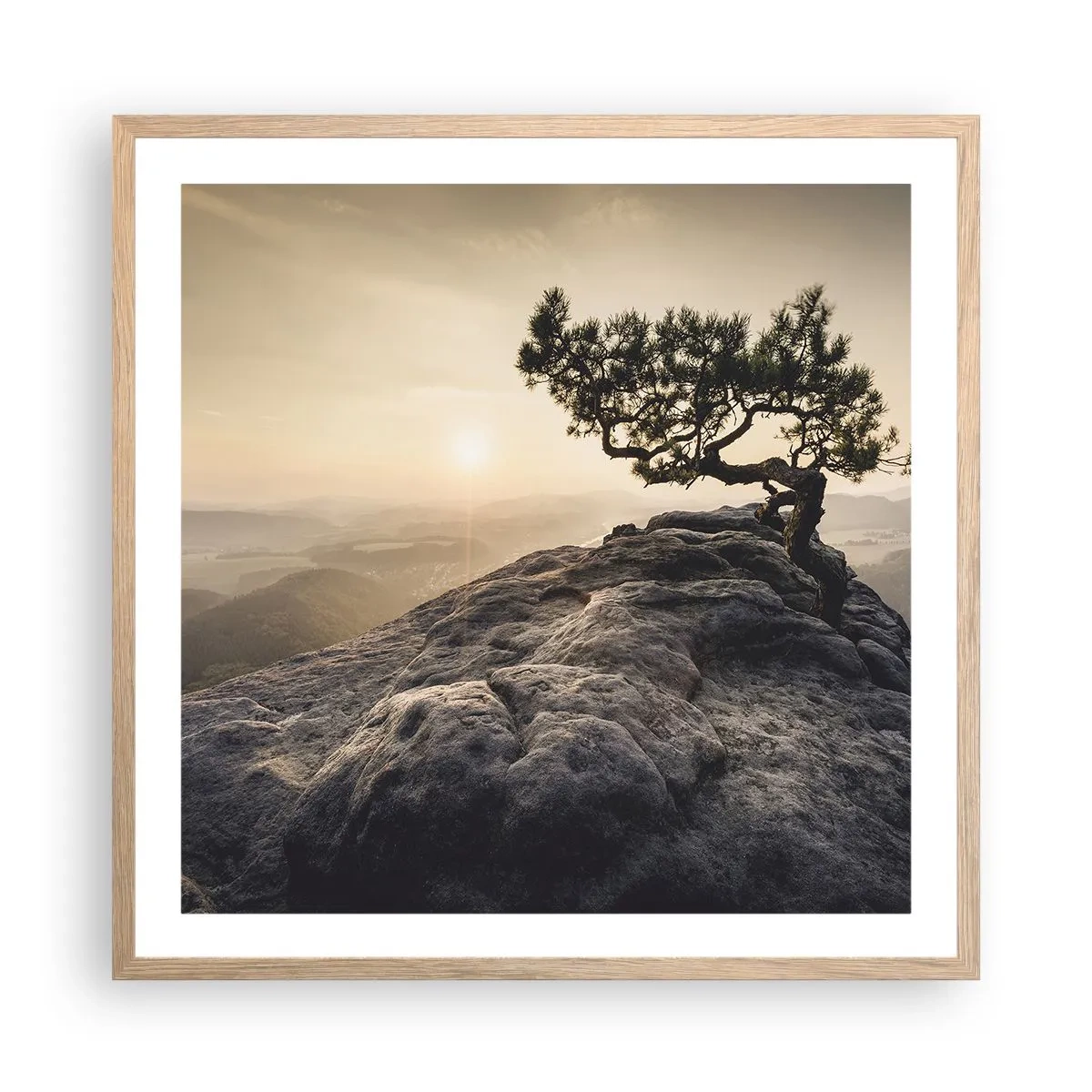 Een poster in een licht eiken lijst - Het leven wint altijd - 60x60 cm