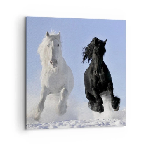 Schilderen op canvas - Zwart-wit galop - 50x50 cm