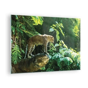 Schilderen op glas - Luipaard op een rots in de tropische jungle - 70x50cm - Op jacht? - Moderne wanddecoratie voor woonkamer en slaapkamer ARTTOR