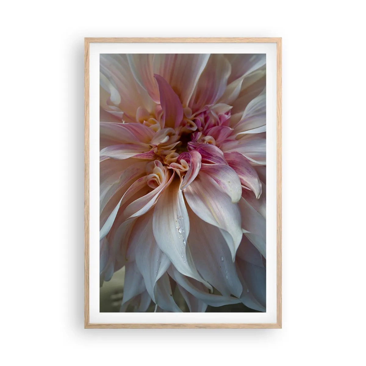 Een poster in een licht eiken lijst - Bloeiende frisheid - 61x91 cm