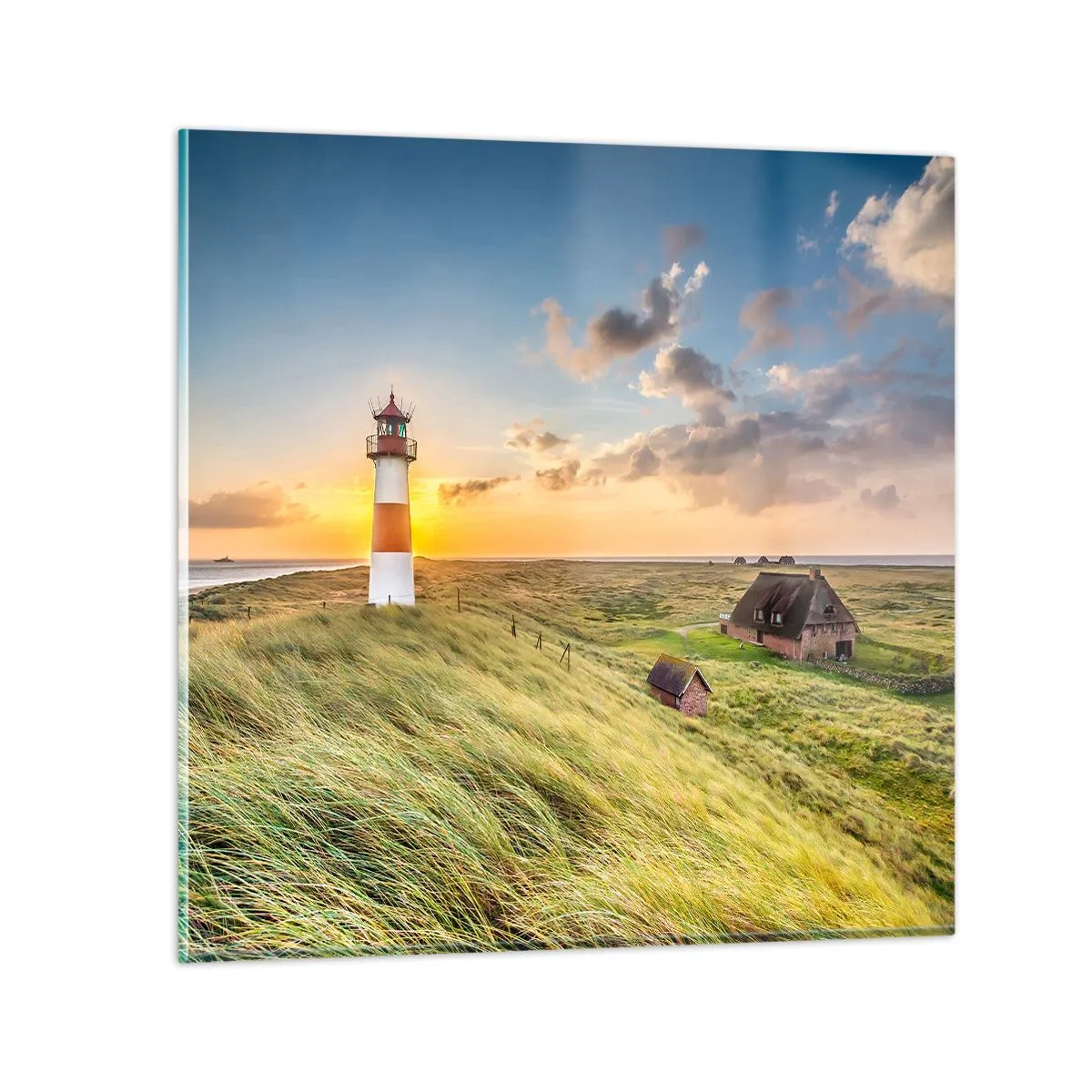 Schilderen op glas - Tussen de golven - 50x50 cm