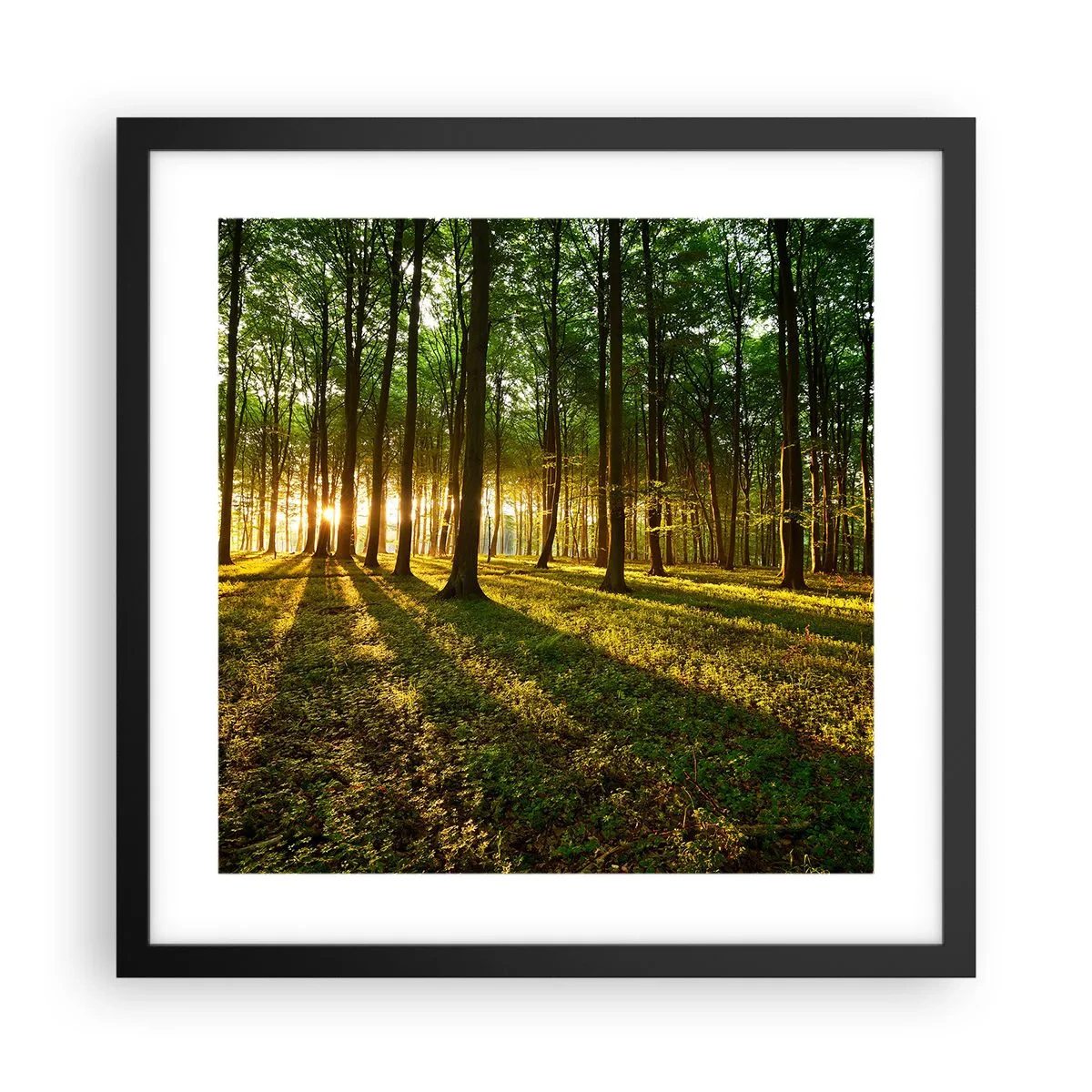 Poster in een zwarte lijst - Foto van de hele lente - 40x40 cm