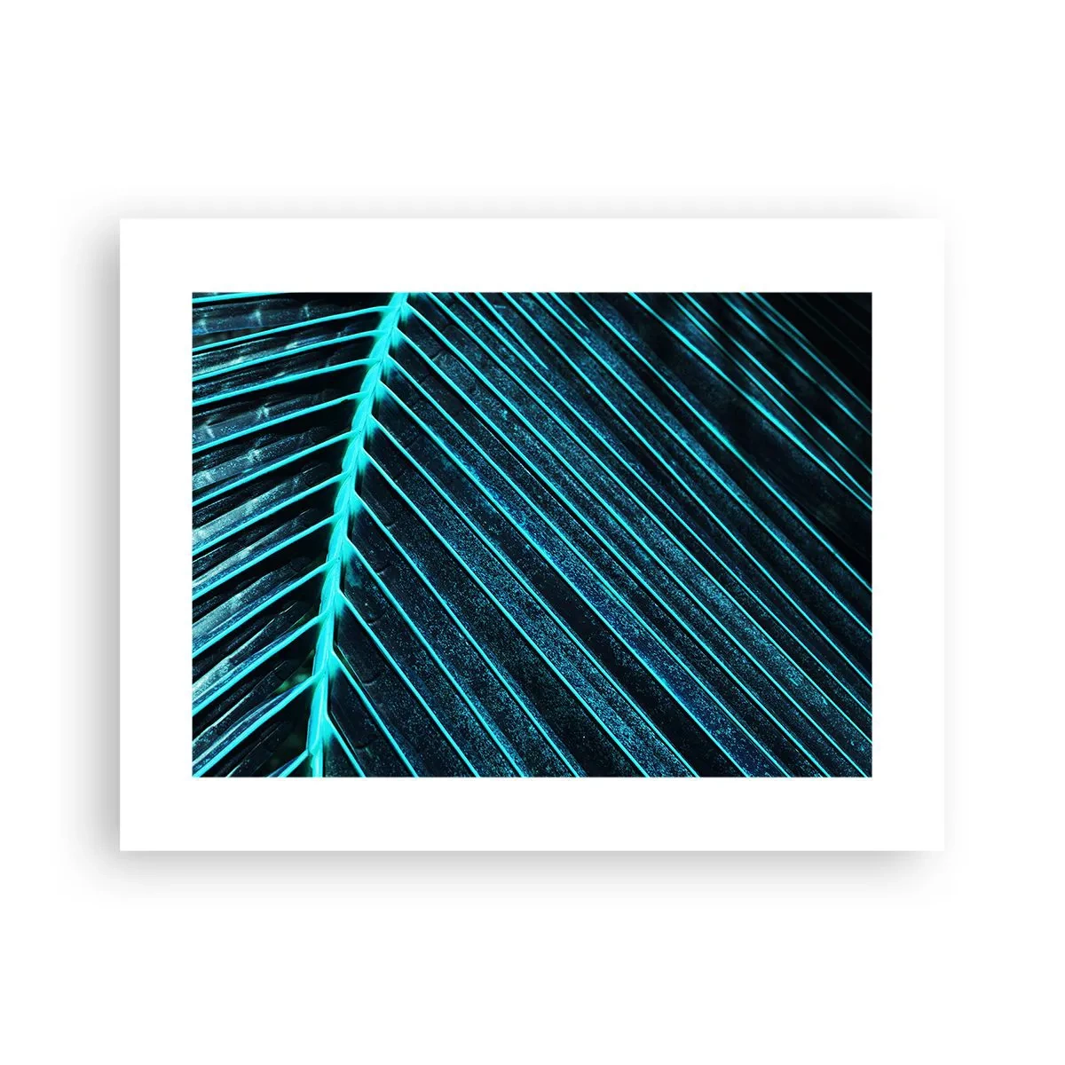 Poster - Groene textuur - 40x30 cm