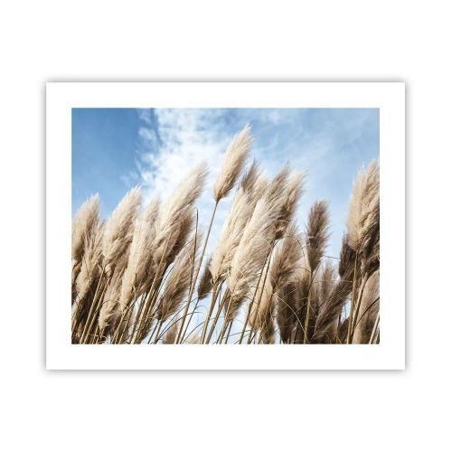 Poster - Zonnige en winderige streling - 50x40 cm