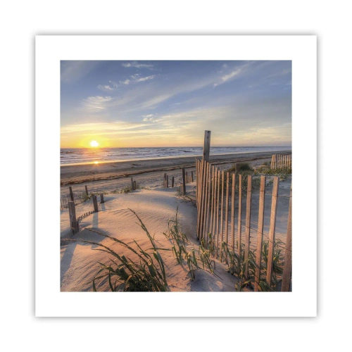 Poster - Glans en schaduw van de wind - 40x40 cm