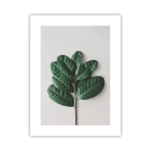 Poster - Een tekening van de pure natuur - 30x40 cm