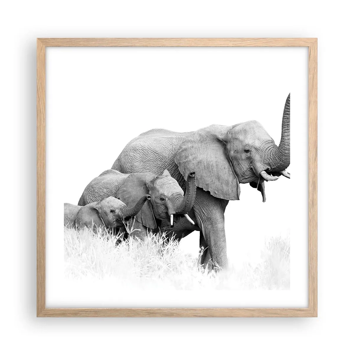 Een poster in een licht eiken lijst - Een twee drie - 50x50 cm