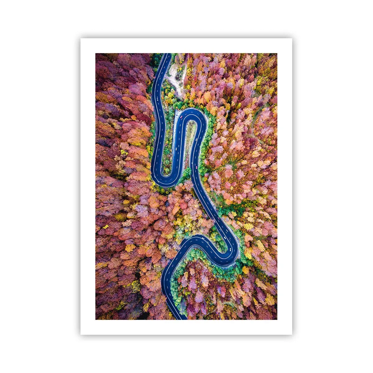 Poster - Een kronkelende weg door het bos - 50x70 cm