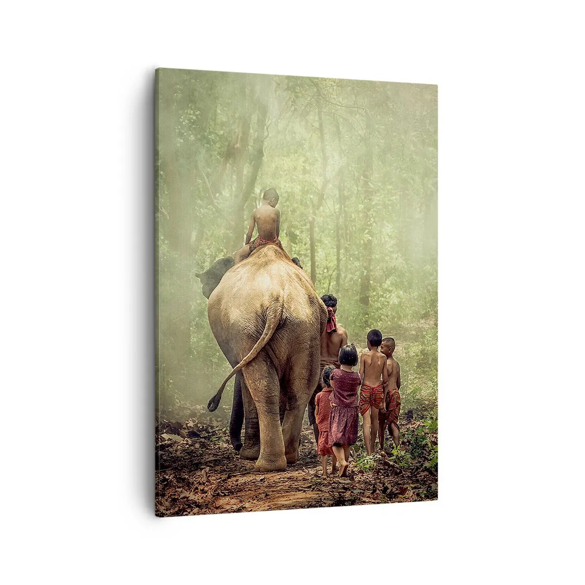 Schilderen op canvas - Nieuw Jungle Boek - 50x70 cm