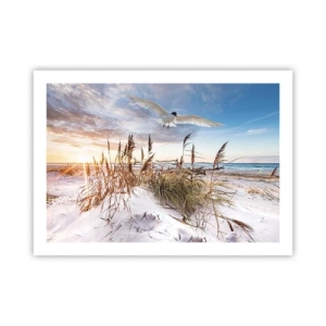 Poster - Wind uit zee - 70x50 cm