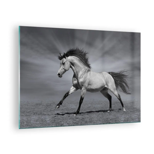 Schilderen op glas - Een zwart-witfoto van een galopperend paard in een open veld. - 70x50cm - Geboren om te genieten - Moderne wanddecoratie voor woonkamer en slaapkamer ARTTOR