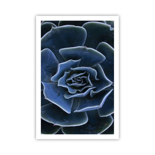 Poster - Woestijn bloem - 61x91 cm