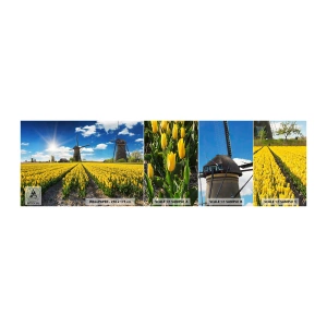 Fotobehang Monster Zelfklevend Deluxe Sticker - Hollandser kan het niet - Landschap, Fan, Tulpen - 100x30 cm
