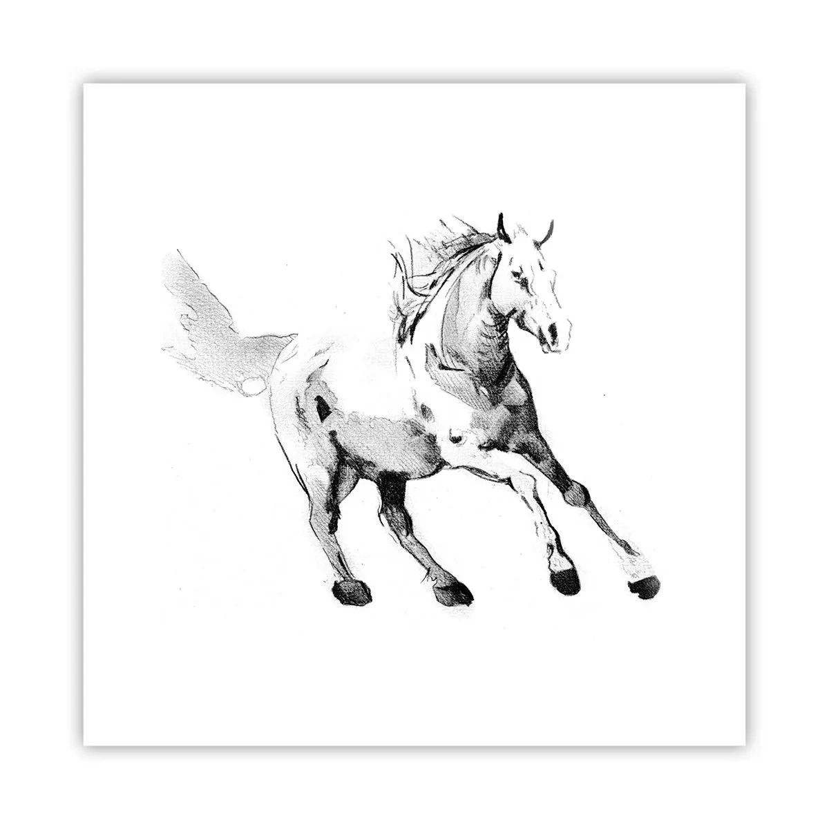 Poster - Ongetemde ziel - 30x30 cm