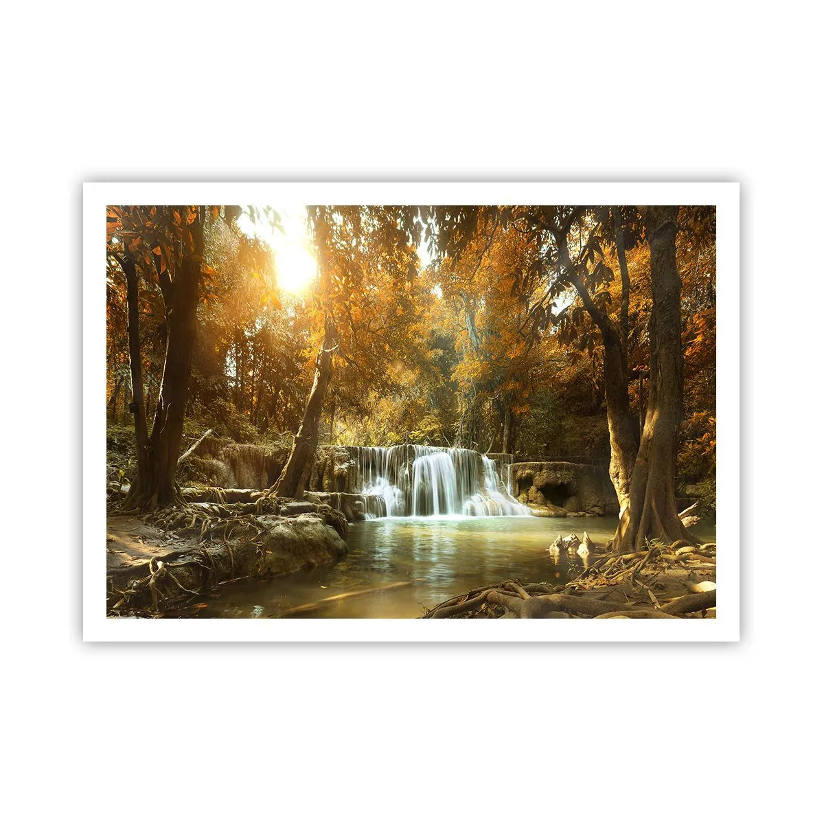 Poster - Park cascade - 100x70 cm