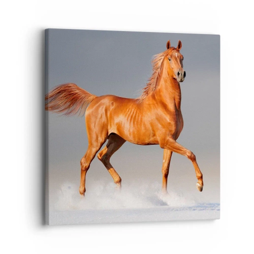 Schilderen op canvas - Dansende elegantie - 30x30 cm