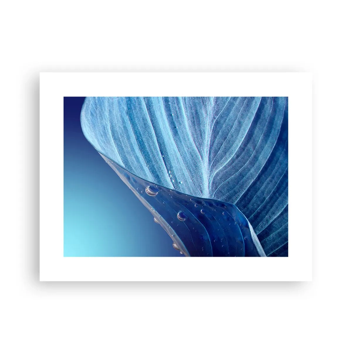 Poster - Verborgen druppels blauw - 40x30 cm