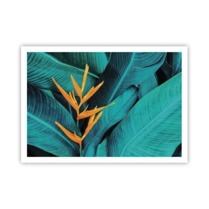 Poster - Eden bloem - 100x70 cm