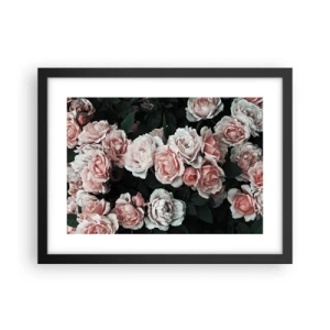 Poster in een zwarte lijst - Rozen ensemble - 40x30 cm