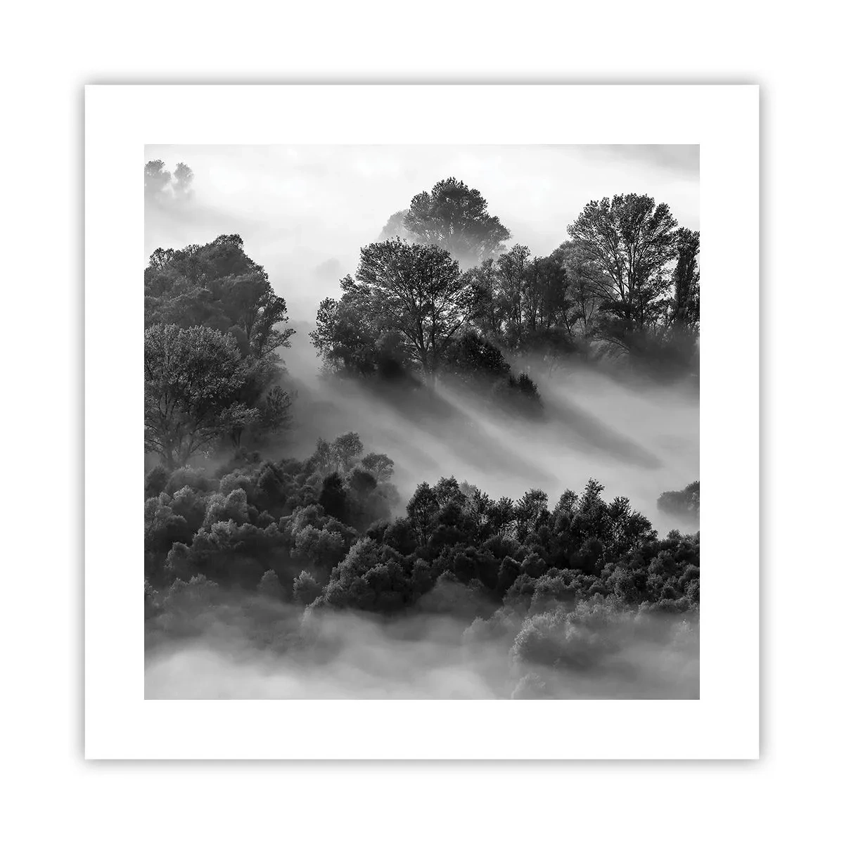 Poster - Opstaand uit de slaap - 40x40 cm