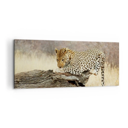 Schilderen op canvas - Ik ga mijn eigen weg - 100x40 cm