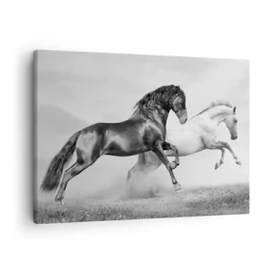 Schilderen op canvas - Twee galopperende paarden in een dynamische zwart-witcompositie - 70x50cm - Engelen en duivels - Moderne wanddecoratie voor woonkamer en slaapkamer ARTTOR