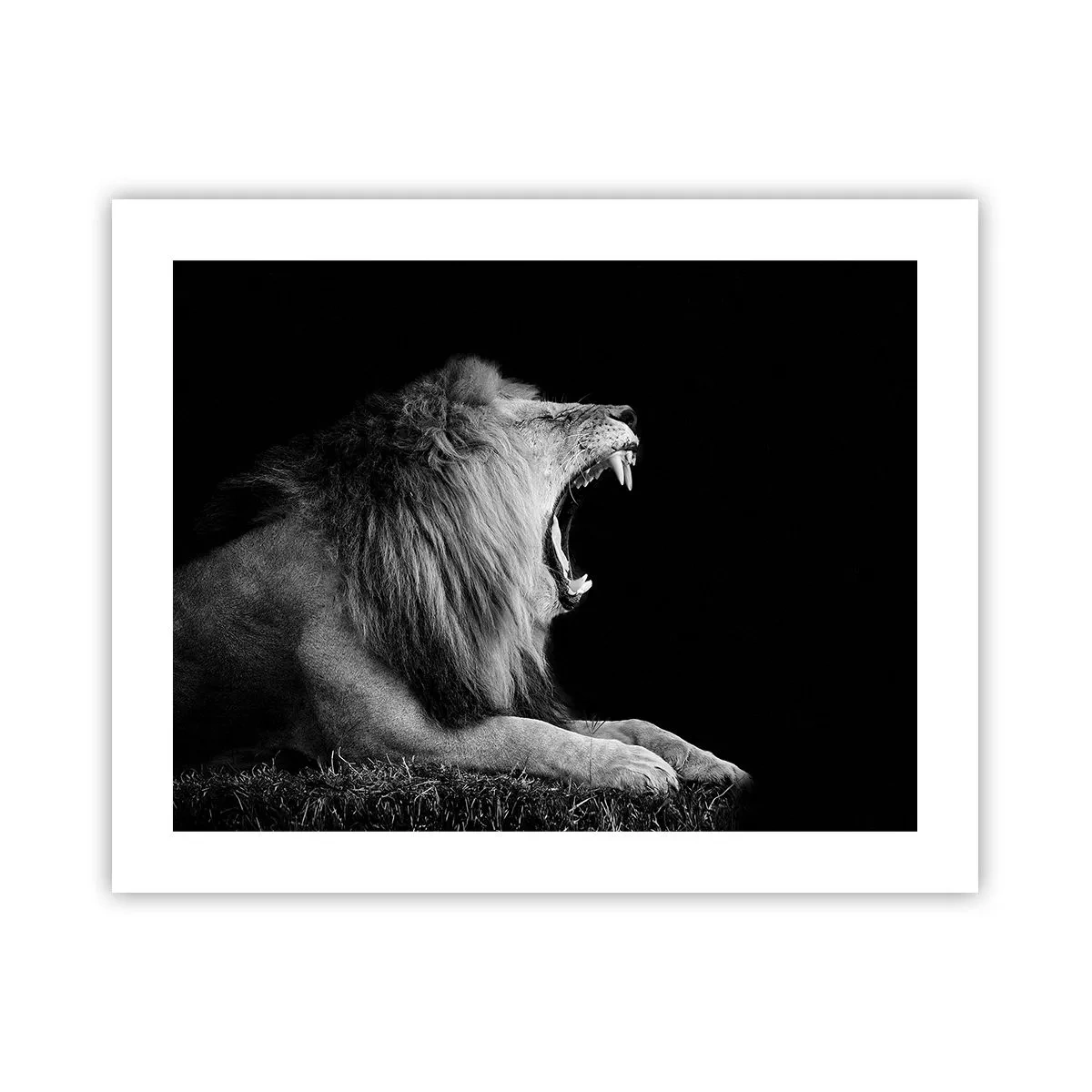 Poster - Zonder enige twijfel - 50x40 cm