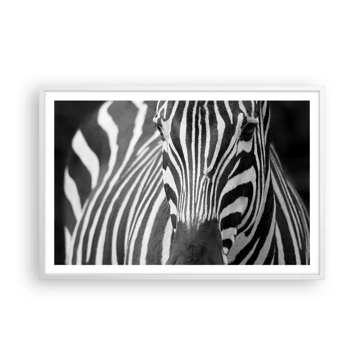 Poster in een witte lijst - De wereld is zwart-wit - 91x61 cm